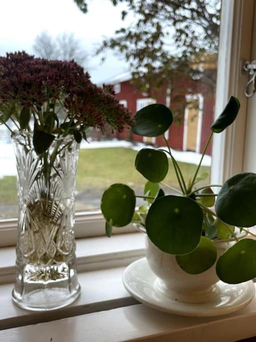Gamla Ersgarden I Ersmark Umeå Eksteriør bilde